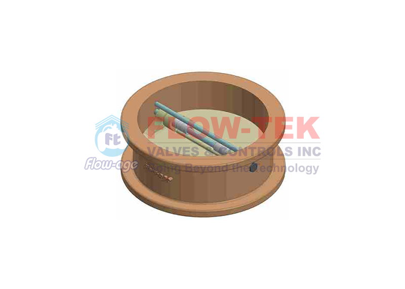 Dual Plate Check Valve