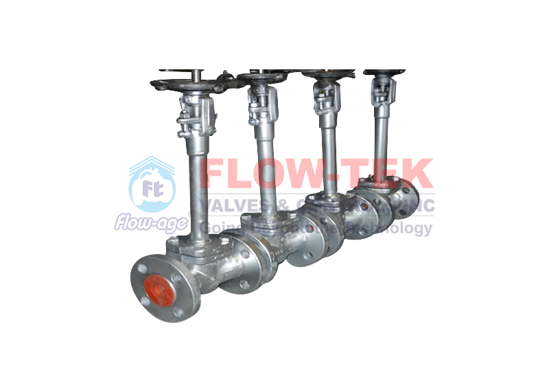 Globe Valves